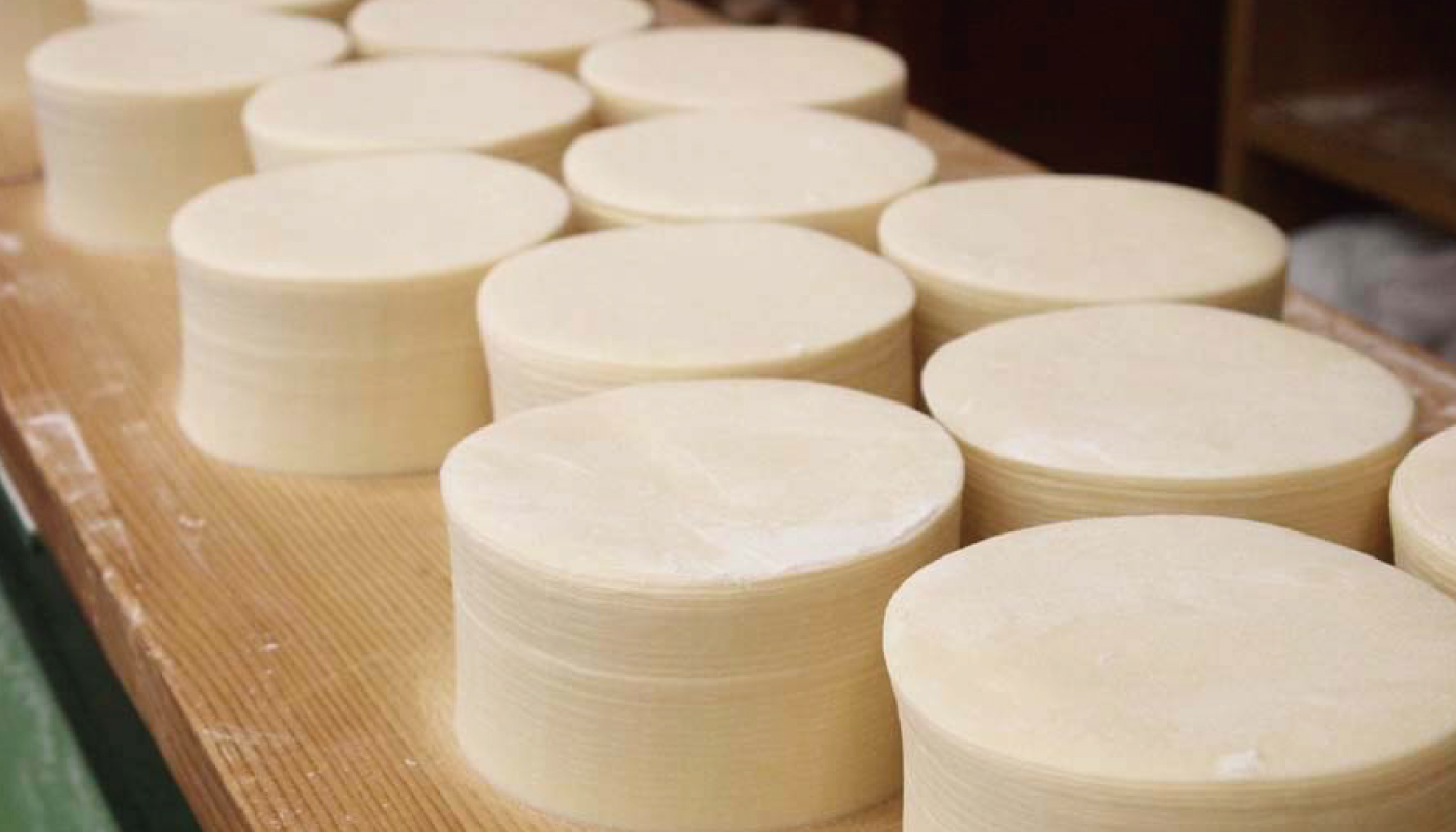 フォトギャラリー2