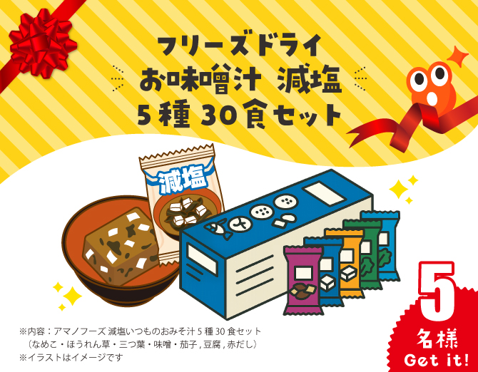 フリーズドライお味噌汁 減塩 5種30食セット