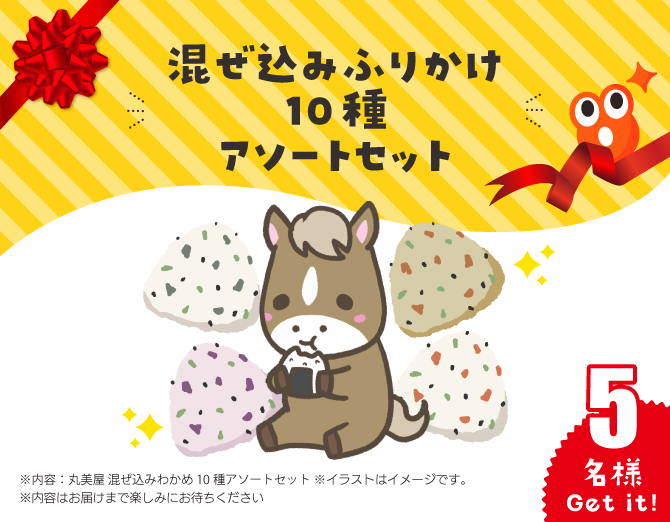 ■混ぜ込みふりかけ 10種 アソートセット